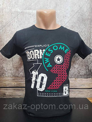 Футболка чоловіча оптом (S-2XL) Туреччина 2647-120353, фото 1