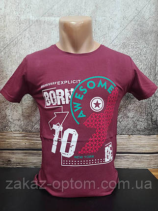 Футболка чоловіча оптом (S-2XL) Туреччина 2647-120355, фото 1
