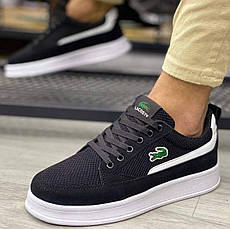 Lacoste 40