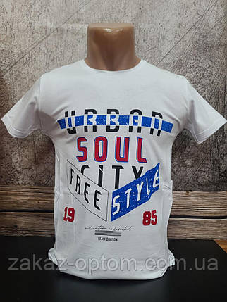Футболка чоловіча оптом (S-2XL) Туреччина 2646-120365, фото 1