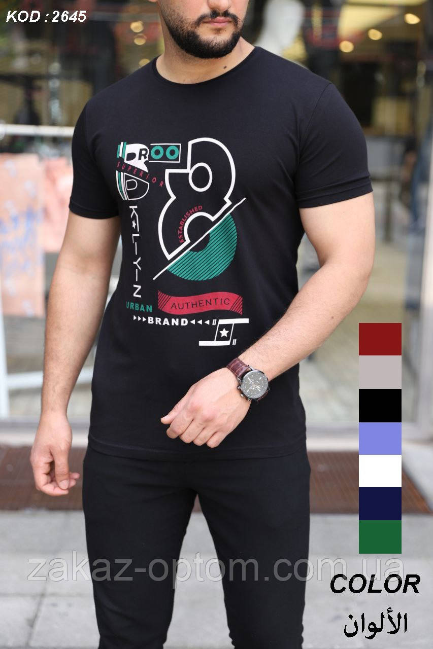 Футболка чоловіча оптом (S-2XL) Туреччина 2645-120383