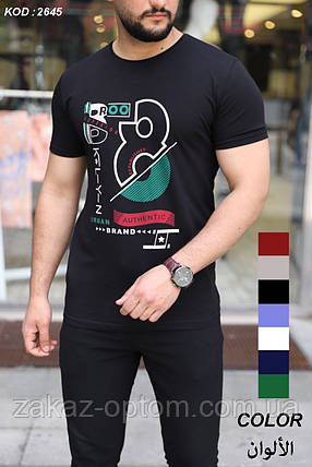 Футболка чоловіча оптом (S-2XL) Туреччина 2645-120383, фото 1