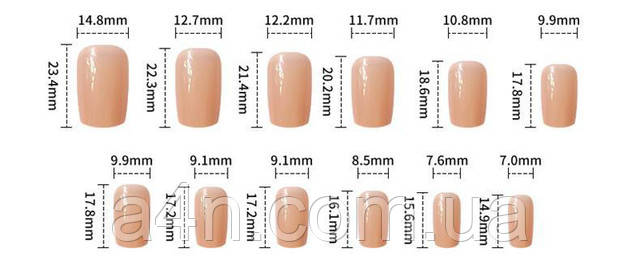 Накладные ногти - Интернет-магазин A4N Размеры накладных ногтей
