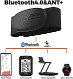 Нагрудний ремінь для пульсометра COOSPO H6 Bluetooth 4.0 ANT+ IP67, датчик серцевого ритму, фото 3
