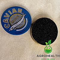 Чорна осетрова ікра Caviar Malossol 100g