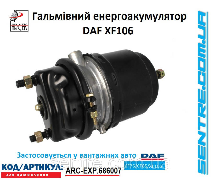 Енергоакумулятор DAF XF106 Тип 24/24 (диск.) 1686007 ARCEK ARC-EXP.686007, фото 1