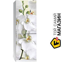 Декоративна наклейка Zatarga Наклейка на холодильник Орхідея Z180077 65x200 см