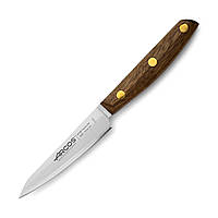 Кухонный нож Arcos Nordika для овощей 100 мм (165000)