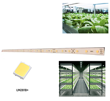 Світлодіодна фітолінійка 8W(12V) для рослин Samsung LM281B