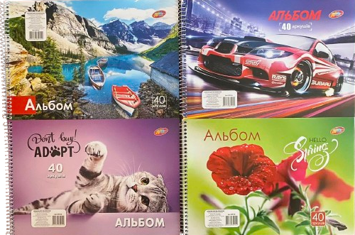 Альбом на спіралі "Колорит-Тон" 40 аркушів/100 гр АПР-40 KNZ
