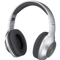 Наушники Panasonic RB-HX220BEE-S Gray RB-HX220BEE-S d