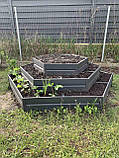 Високі теплі грядки і клумби металеві збірні для саду та городу (висота 19см ширина 1.25м довжина 1.25м), фото 10