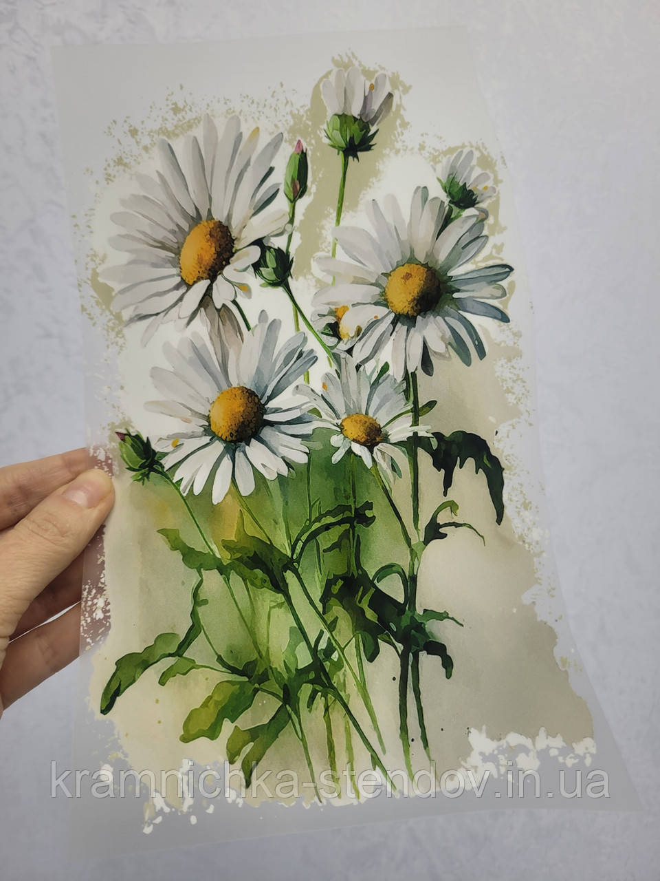 Термонаклейка на одяг, фото 1