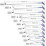 Гачки для рихтування вм'ятин Q-005 (11 шт) набір гачків PDR, фото 2