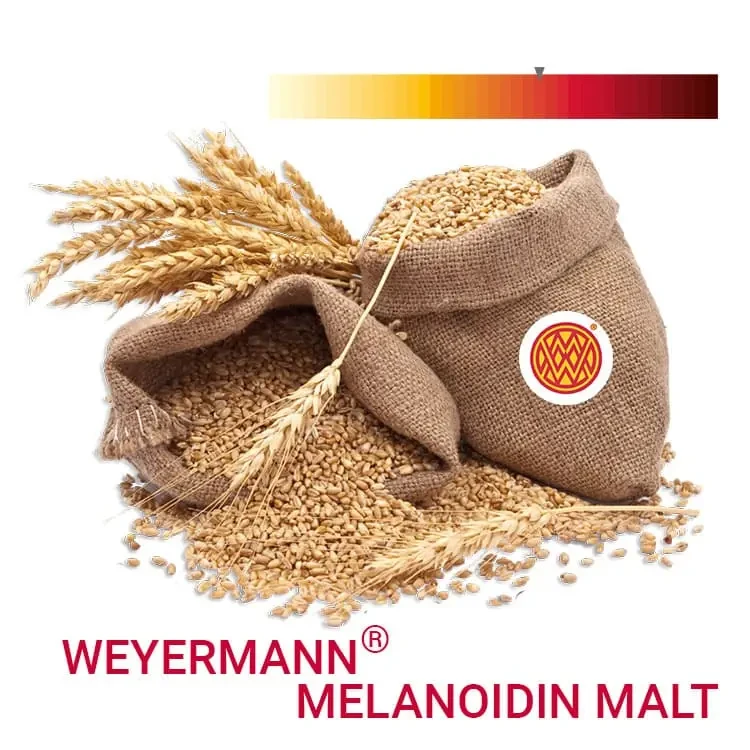Солод спеціальний Меланоїдиновий (Melanoidin Malt) 0.5 кг. Weyermann. Солод спеціального обсмажування, фото 1