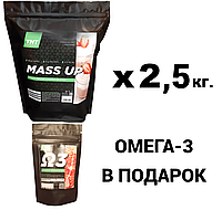 Гейнер для роста массы, 2,5 кг., Польша + Омега-3 в подарок! TNT Nutrition