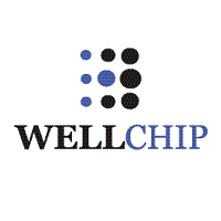 Чип WELLCHIP CPTL5128DU