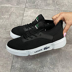 Lacoste 40