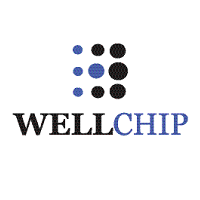 Чип WELLCHIP CM3300