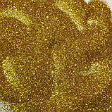 Глітер GGO/0,2 мм (1/128) золотий Tricolor, фото 6