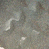 Глітер голографічний GGS/0,1 мм (1/256) срібний Tricolor, фото 3
