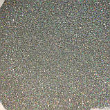 Глітер голографічний GGS/0,1 мм (1/256) срібний Tricolor, фото 6