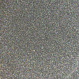 Глітер голографічний GGS/0,1 мм (1/256) срібний Tricolor, фото 9