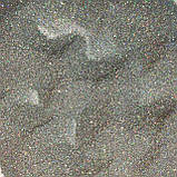 Глітер голографічний GGS/0,1 мм (1/256) срібний Tricolor, фото 10