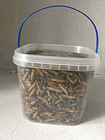 НАТУРАЛЬНИЙ КОРМ-ЛАКІМКА ДЛЯ КОІ ЛІЧІНКА ЧОРНОГО СОЛДАТИКА, высококалорійний плаваючий (відро1л/160г)