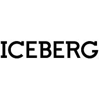 Iceberg