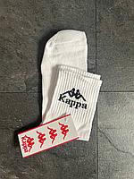 Мужские носки Kappa (41-45) повседневные