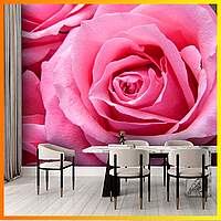 Фотообои "Большые розовые розы 3д". Виниловые на флизелиновой основе