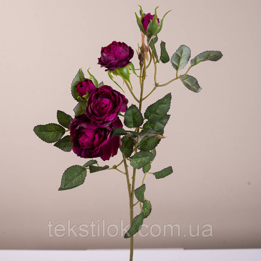 Троянда кущова червона 50 см., фото 1