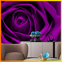 Фотообои "Большая фиолетовая роза". Виниловые на флизелиновой основе