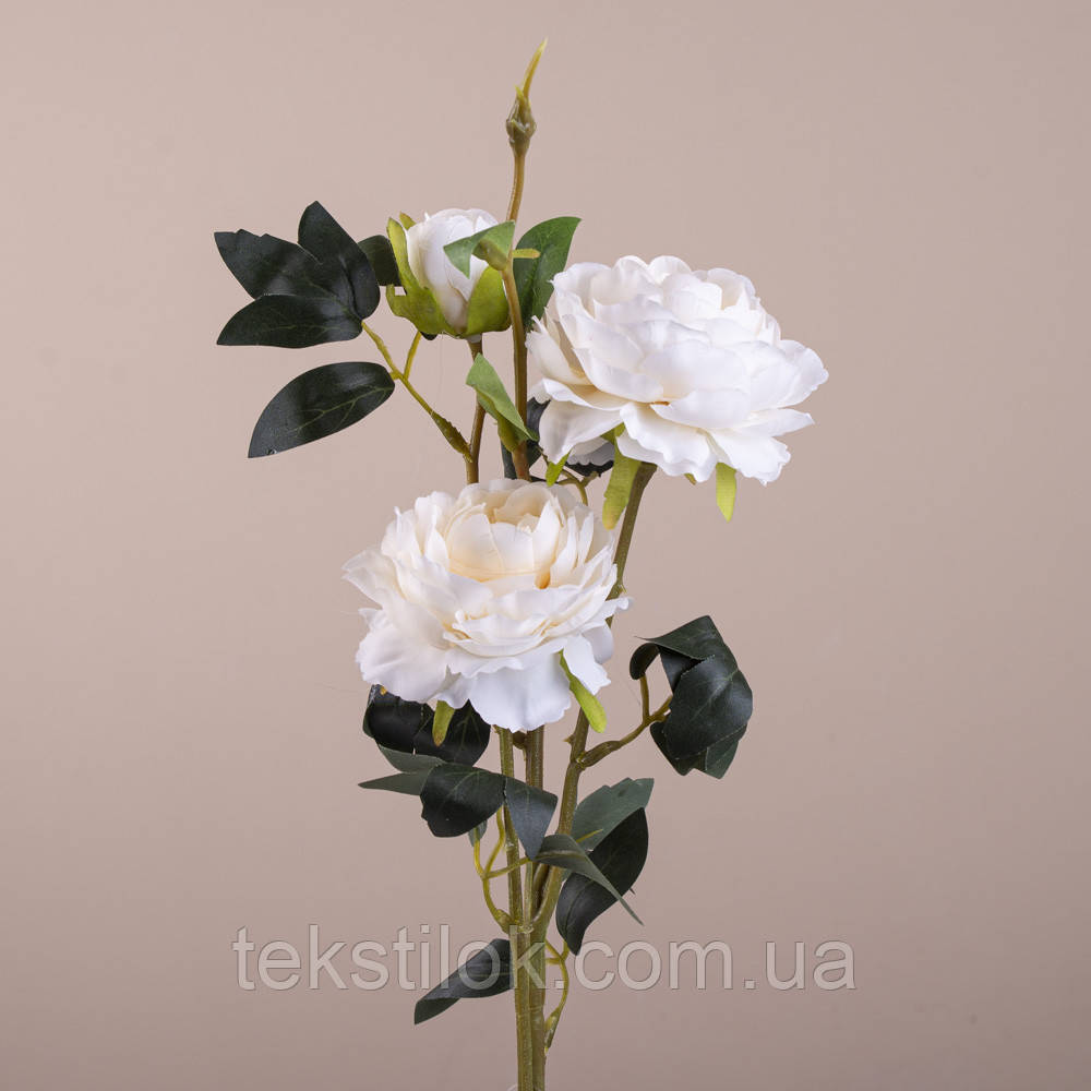 Троянда ніжно-кремова 75 см., фото 1