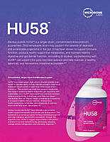 Microbiome Labs HU58 Bacillus Subtilis / Bacillus Subtilis з високою ефективністю 60 капс BX179, фото 7