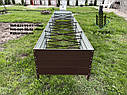 Збірна грядка з розпорками, збірна "Люкс" висока 570 мм, металева грядка, фото 2