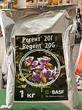 Регент 1кг, фото 2