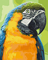 Картина по номерам. Art Craft "Попугай Ара" 40х50 см Advert Картина за номерами. Art Craft "Папуга Ара" 40х50