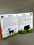 Читаю про Україну. Тварини лісів  С366023У, фото 2