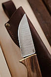 Ніж ручної роботи туристичний «Грибничок #1» зі шкіряними піхвами N690/61 HRC., фото 2