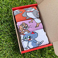 Жіночі шкарпетки, Набір жіночих шкарпеток Том і Джеррі 36-41 на 3 пари з мультяшним малюнком у коробці PRO_240