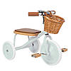 Велосипед триколісний Banwood Trike, фото 11