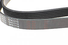 Ремінь генератора VW LT 2.5TDI -06 T4 2.5 91-03 Ford Connect 1.8 TDCi 02-07 Opel Astra 1.7 07- AD06R1718, фото 4