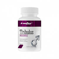 Стимулятор тестостерона IronFlex Tribulus Maximus, 90 таблеток CN2486 VB