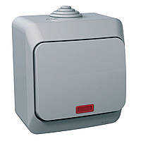 Одноклавішний вимикач із підсвіткою сірий Cedar Plus