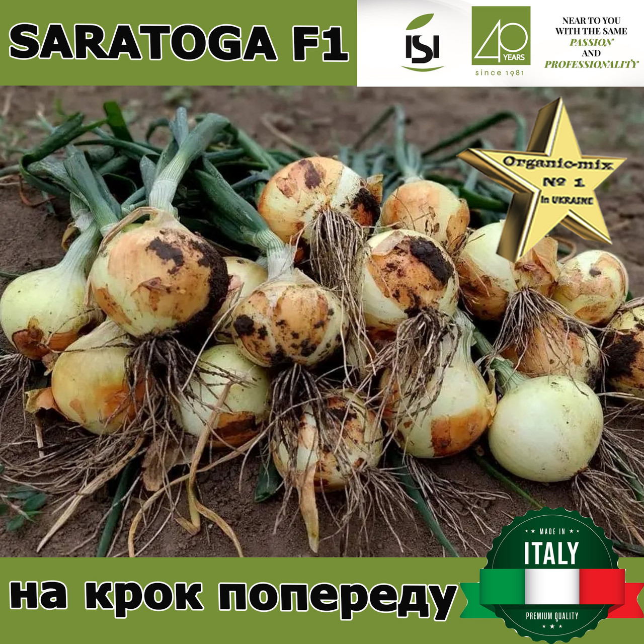 Озима цибуля САРАТОГА F1 | SARATOGA F1, ТМ Isi Sementi (Італія), 250 000 насінин
