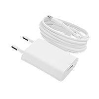 Зарядний пристрій + кабель Lightning LP АС-005 USB 5V 1A ОЕМ White