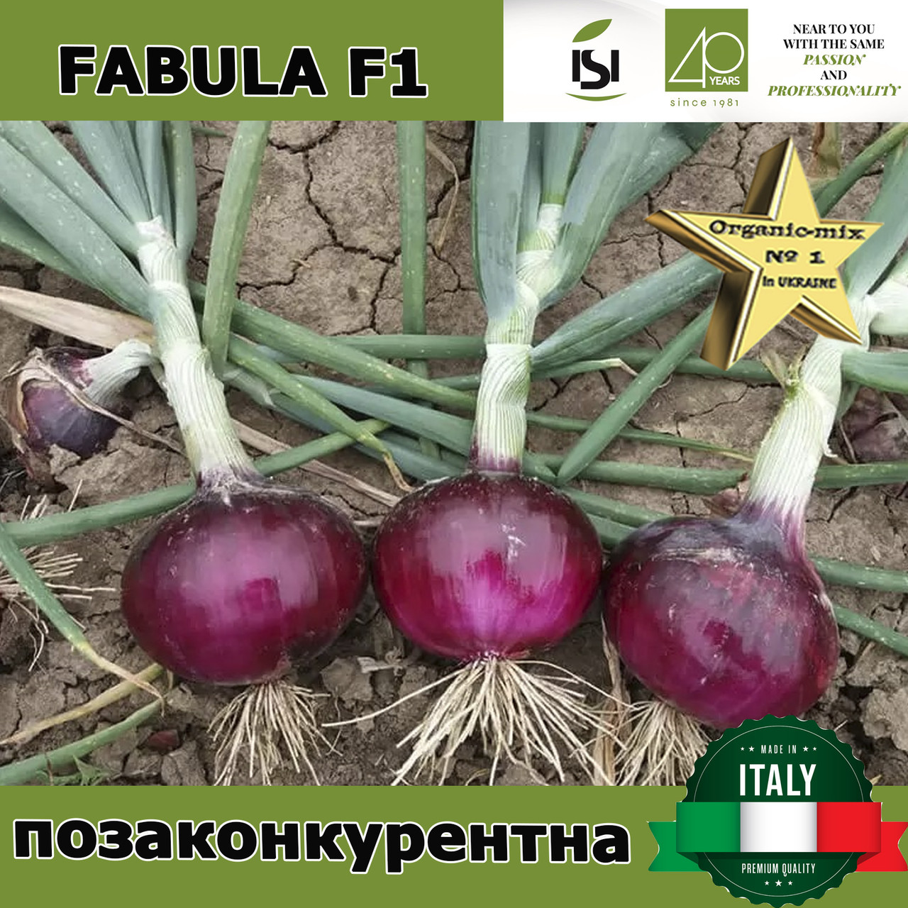 Озима червона цибуля Фабула F1 / Fabula F1, ТМ Isi Sementi (Італія), 250 000 насінин, фото 1