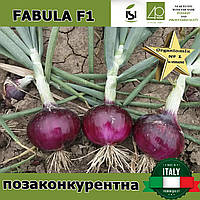 Озима червона цибуля Фабула F1 / Fabula F1, ТМ Isi Sementi (Італія), 250 000 насінин